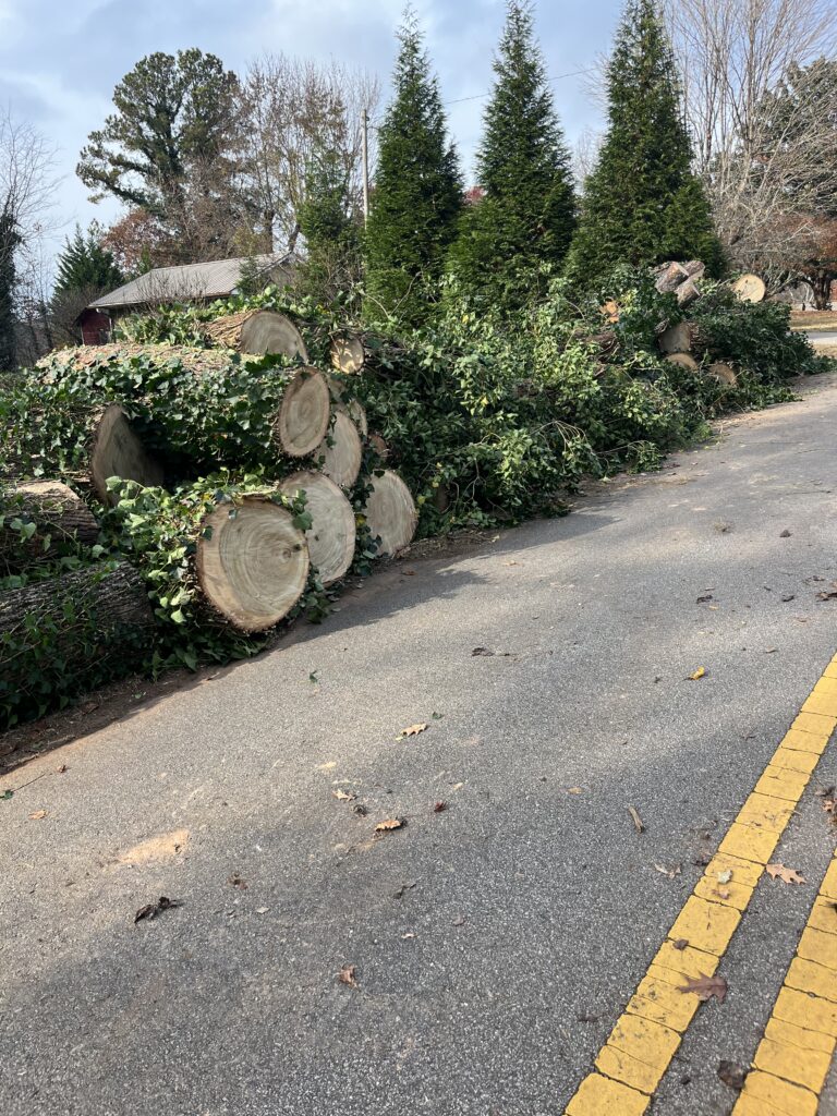 Tree removal service with maximum safety, experience, and attention to detail. ✅🌳
